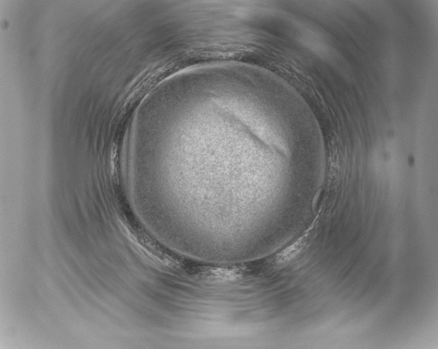 X0000052930166200507221130