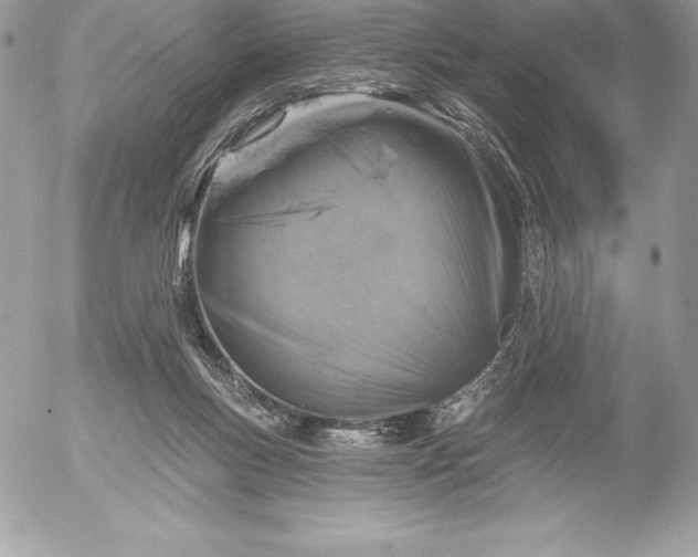 X0000052930167200507221130