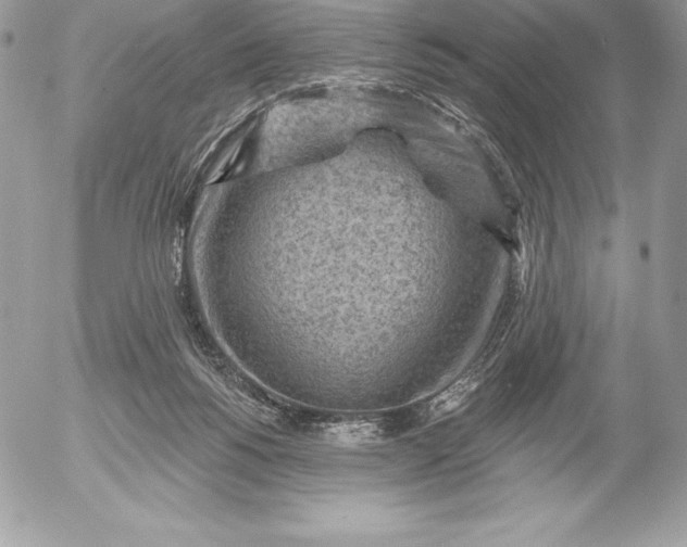 X0000052930168200507221130