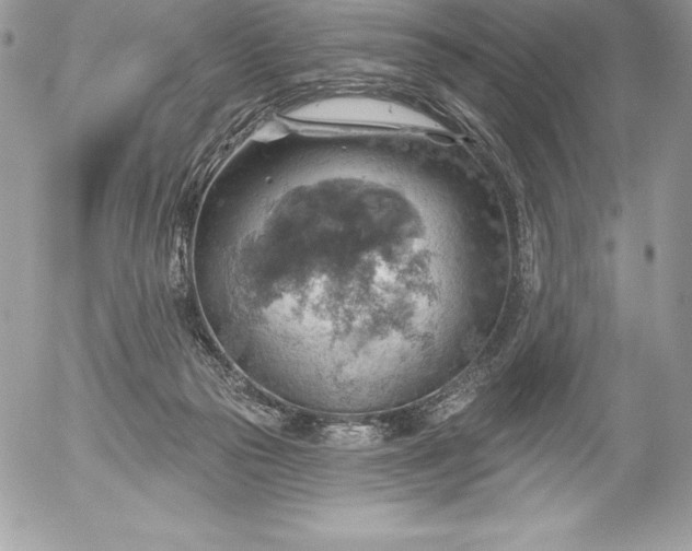 X0000052930169200507221130