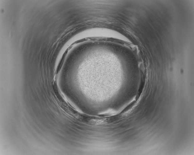 X0000052930170200507221130