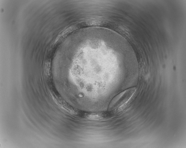 X0000052930171200507221130