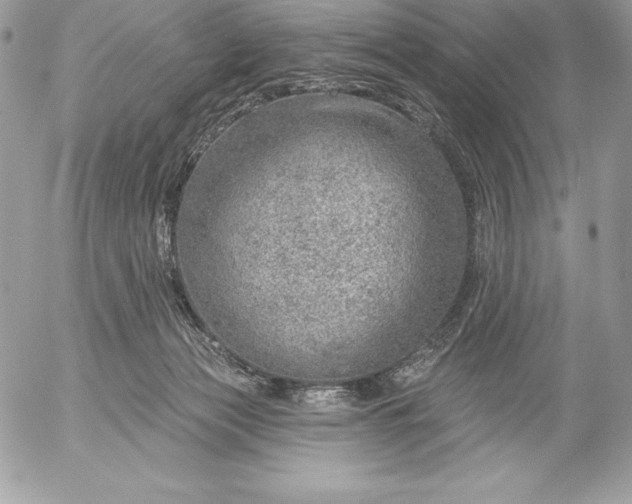 X0000052930173200507221130