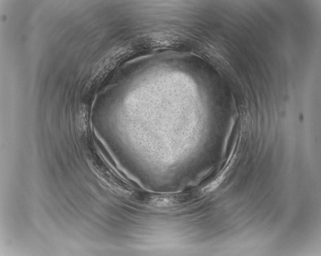 X0000052930174200507221130