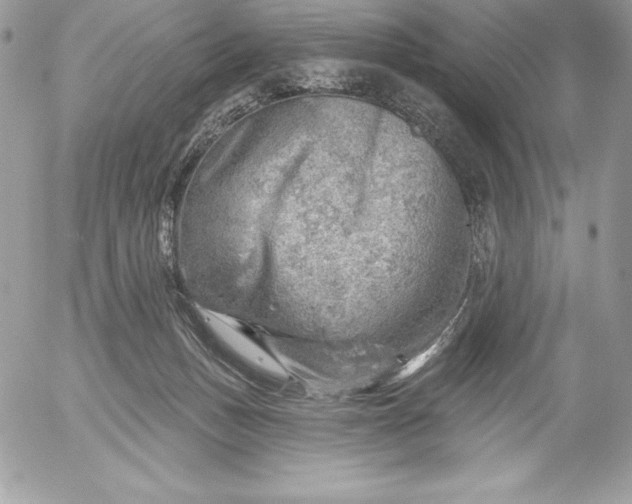 X0000052930175200507221130