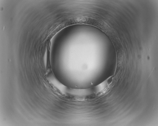 X0000052930176200507221130