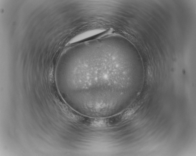 X0000052930177200507221130