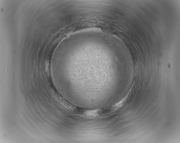 X0000052930178200507221130