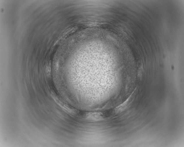 X0000052930179200507221130