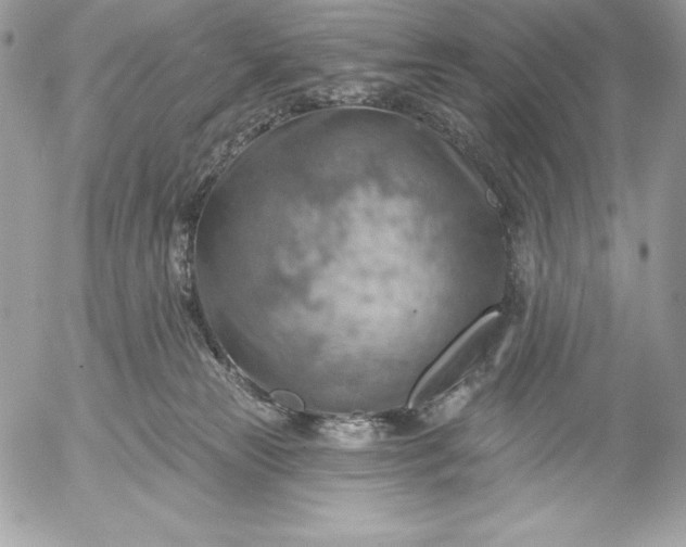 X0000052930181200507221130