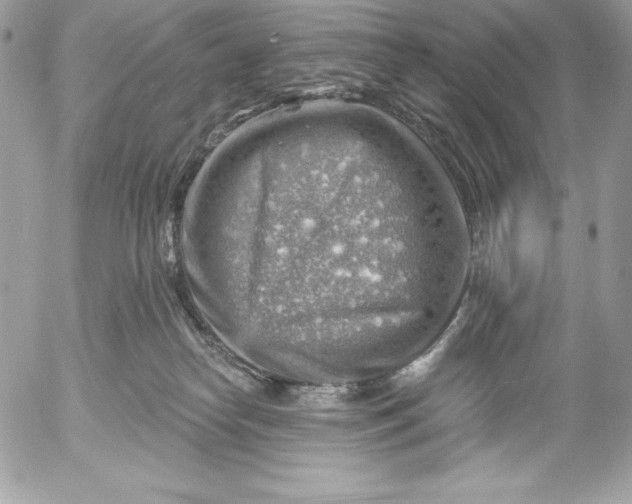 X0000052930182200507221130