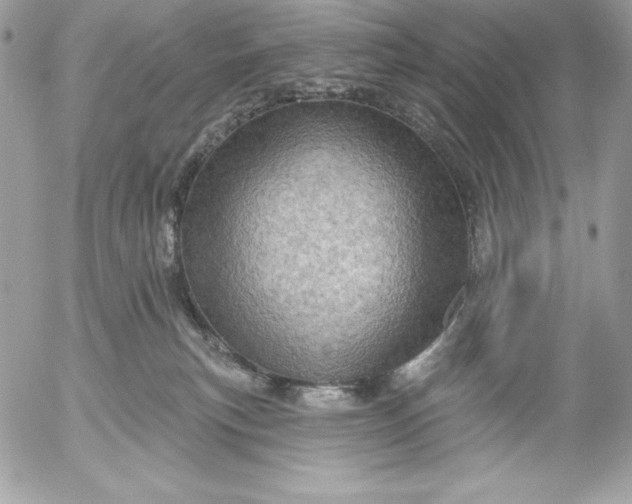 X0000052930183200507221131