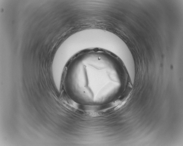 X0000052930184200507221131