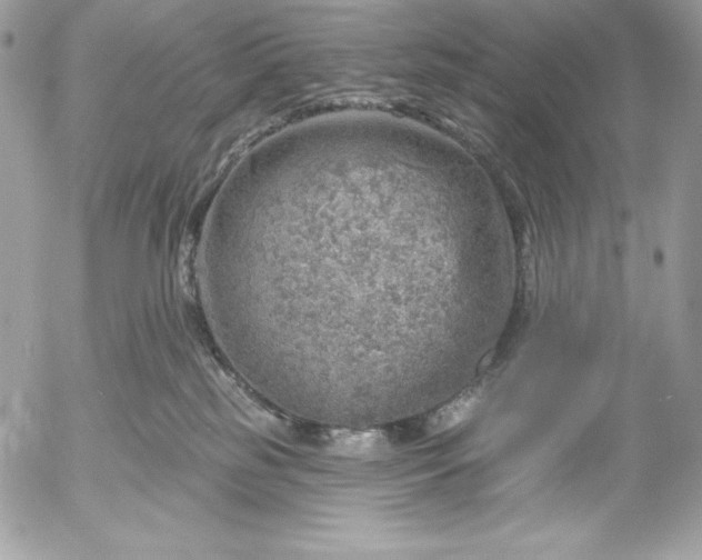 X0000052930185200507221131