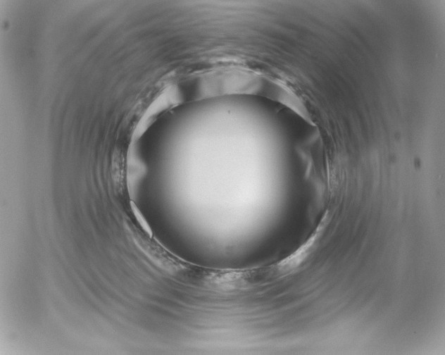 X0000052930186200507221131