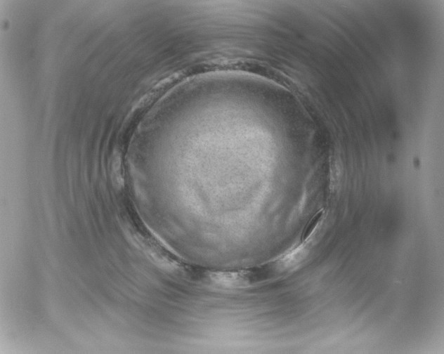 X0000052930187200507221131