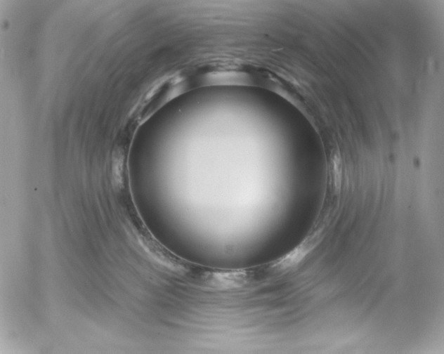 X0000052930188200507221131