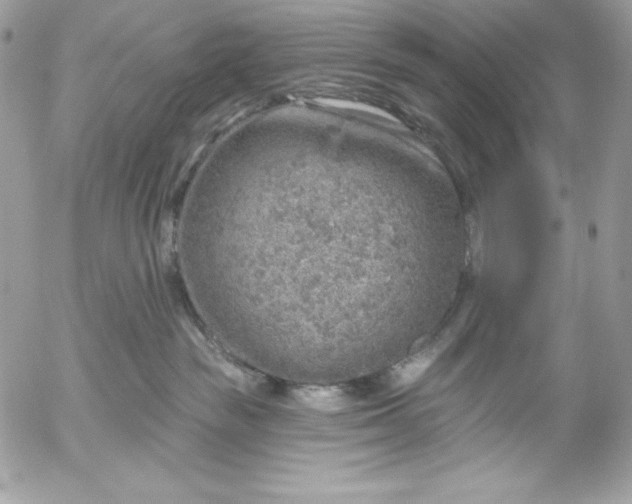 X0000052930189200507221131