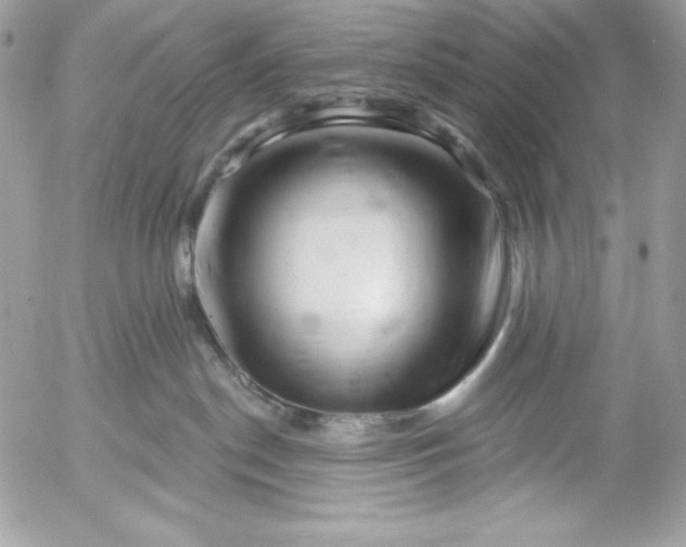 X0000052930190200507221131