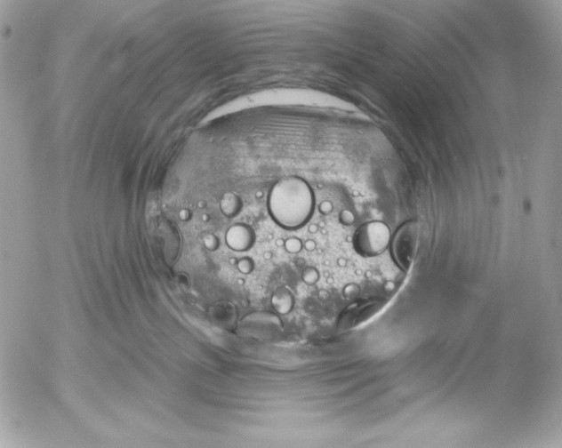 X0000052930191200507221131