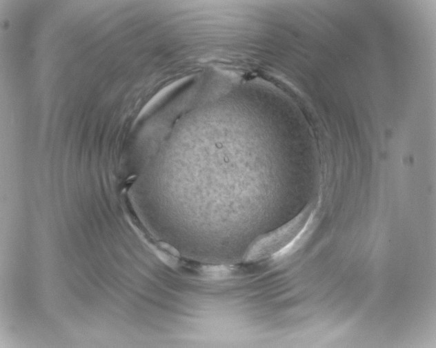 X0000052930192200507221131