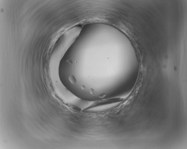 X0000052930193200507221130