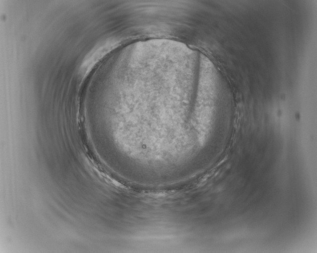 X0000052930194200507221130