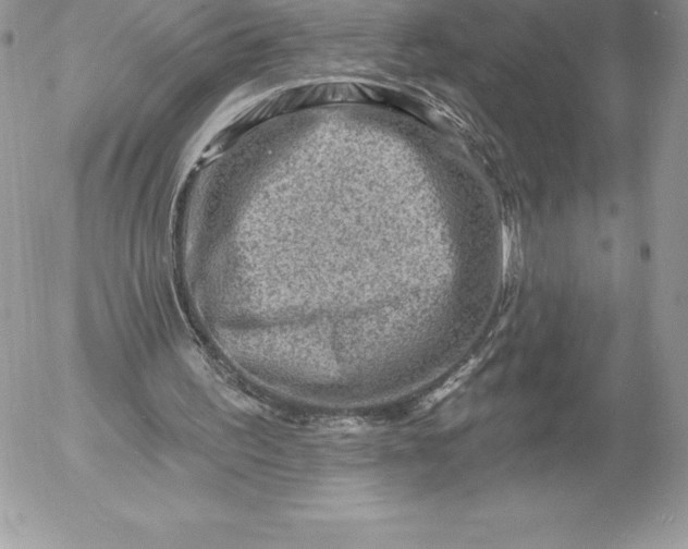 X0000052930195200507221130