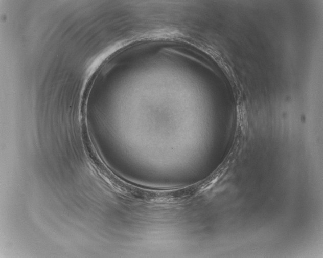 X0000052930196200507221130