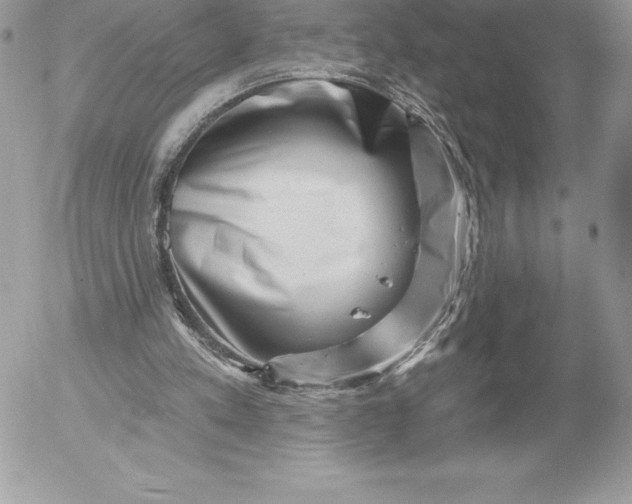 X0000052930197200507221130