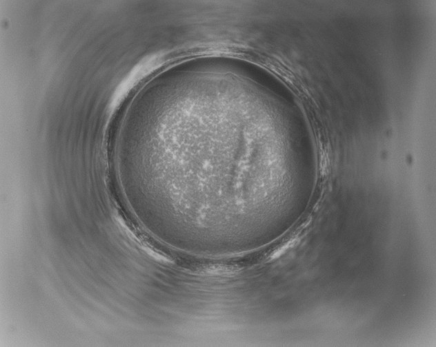 X0000052930198200507221130