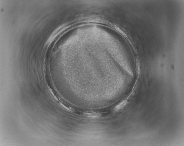 X0000052930199200507221130