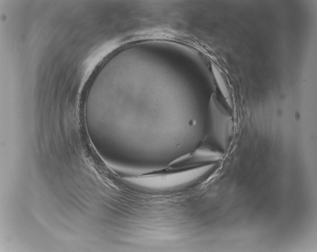 X0000052930200200507221130