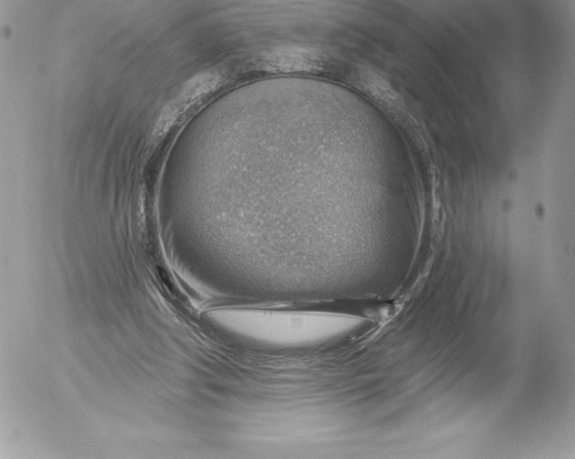 X0000052930202200507221130