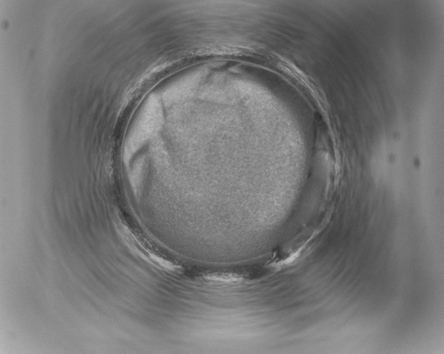 X0000052930203200507221130