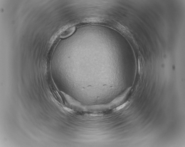 X0000052930204200507221130