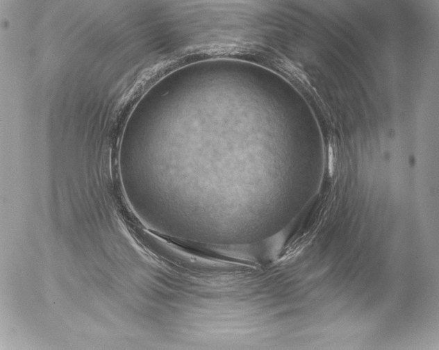 X0000052930205200507221130