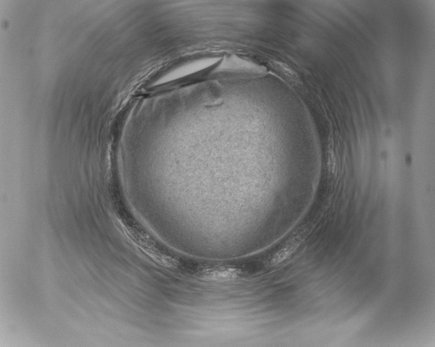 X0000052930206200507221130