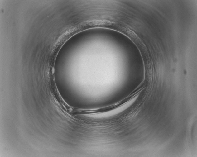 X0000052930207200507221130