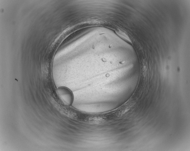 X0000052930208200507221130