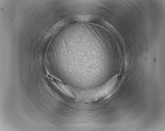 X0000052930209200507221130