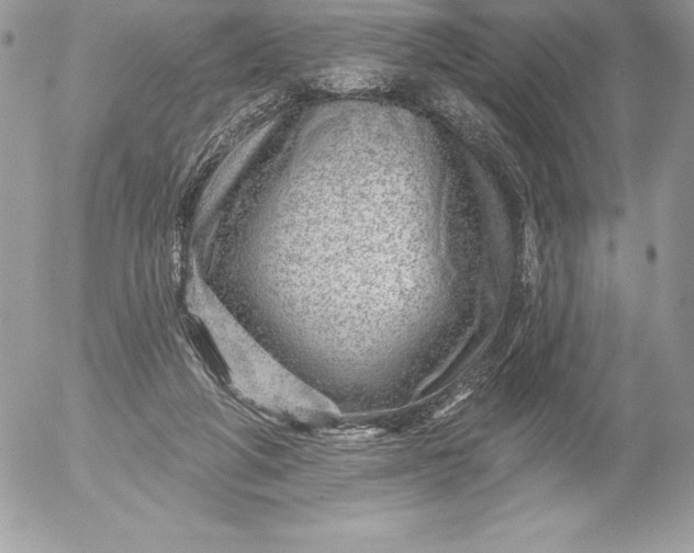 X0000052930210200507221130