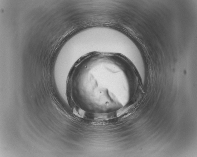 X0000052930211200507221130