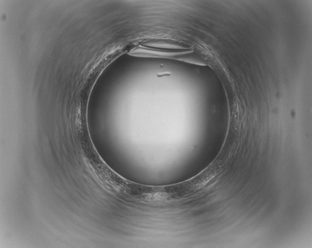 X0000052930212200507221130