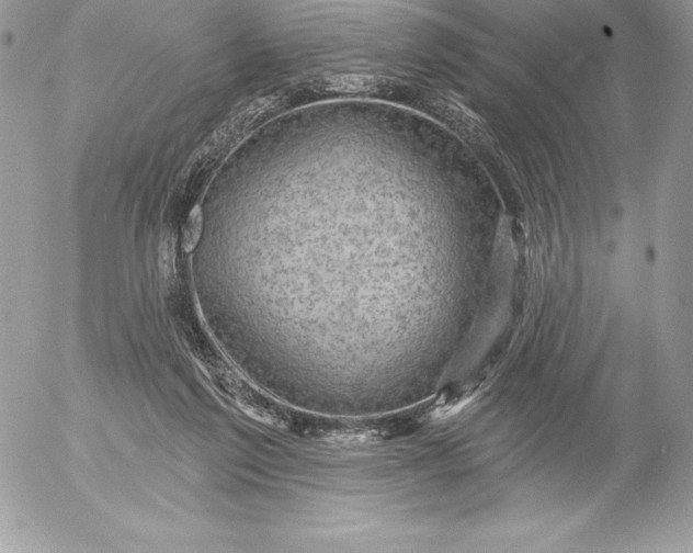 X0000052930213200507221130