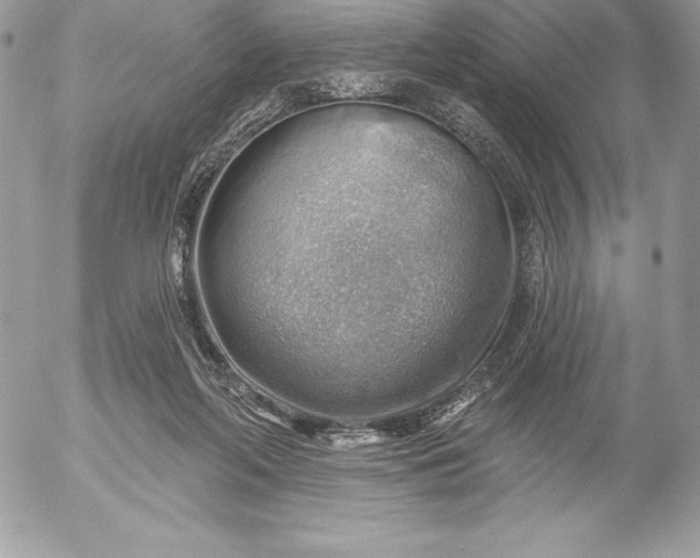 X0000052930214200507221130