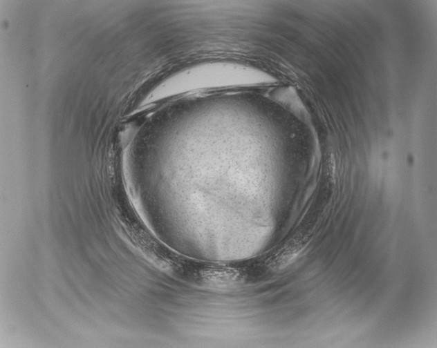 X0000052930215200507221130