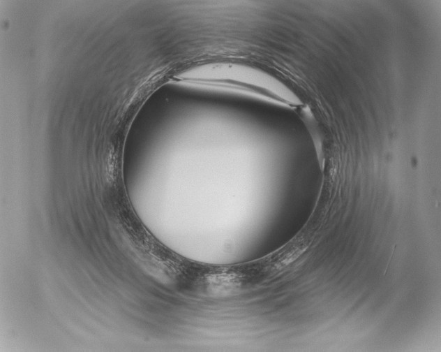 X0000052930216200507221129