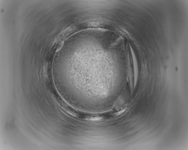 X0000052930217200507221129