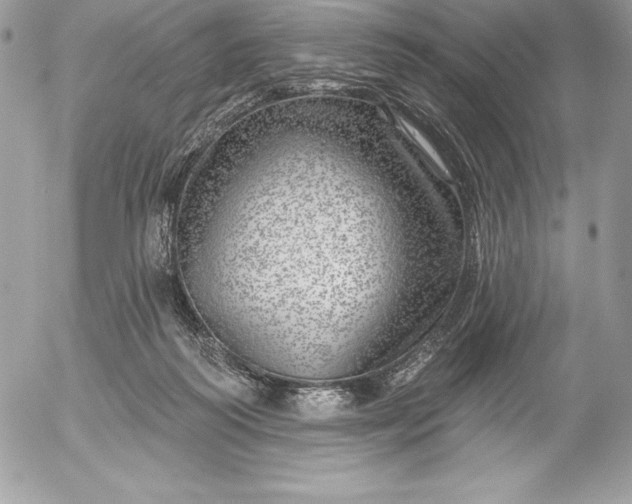 X0000052930218200507221129